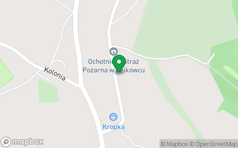 Lokalizacja: Niepubliczne Przedszkole w Dzikowcu