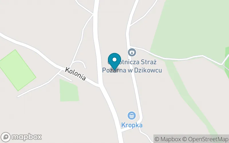 Lokalizacja: Niepubliczna Szkoła Podstawowa w Dzikowcu