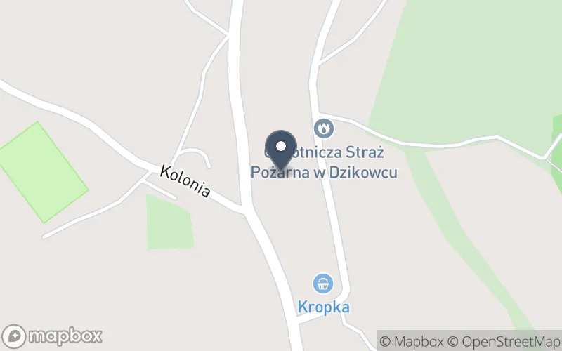 Lokalizacja: Zespół Szkół Społecznych w Dzikowcu