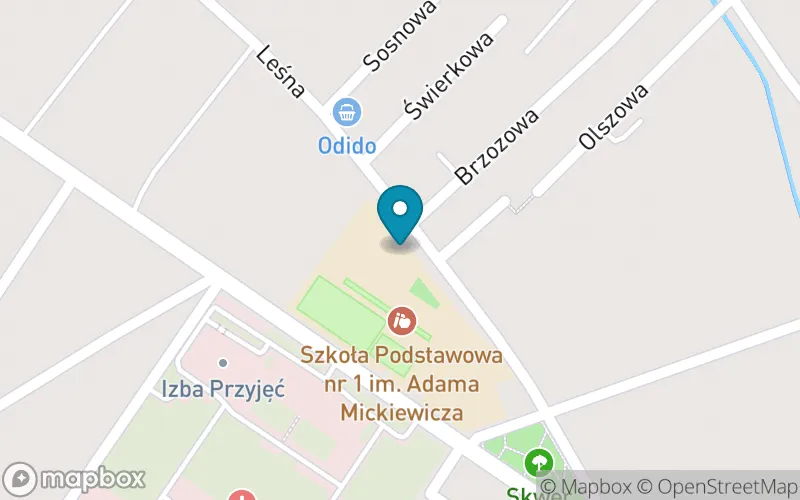 Lokalizacja: Szkoła Podstawowa nr 1 im. Adama Mickiewicza