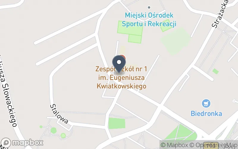 Lokalizacja: Zespół Szkół nr 1 im. Eugeniusza Kwiatkowskiego w Myszkowie