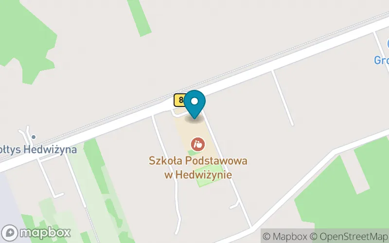 Lokalizacja: Szkoła Podstawowa w Hedwiżynie