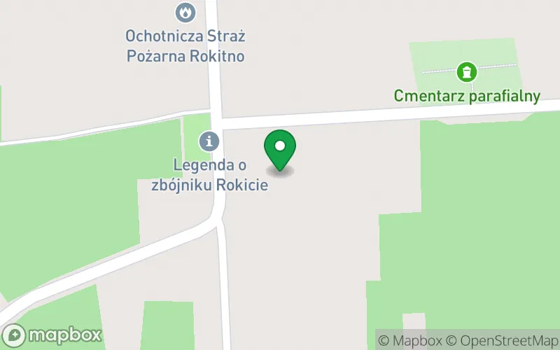 Lokalizacja: Społeczne Przedszkole im. Jana Pawła II w Rokitnie