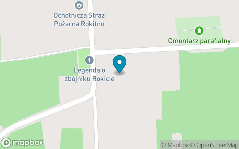 Lokalizacja: Społeczna Szkoła Podstawowa im. Jana Pawła II w Rokitnie