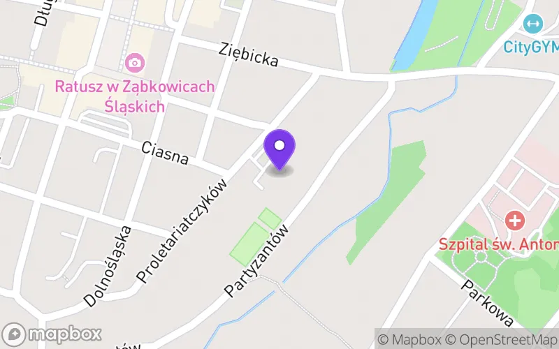 Lokalizacja: Branżowa Szkoła Specjalna I Stopnia w Specjalnym Ośrodku Szkolno-Wychowawczym im. Janusza Korczaka w Ząbkowicach Śląskich