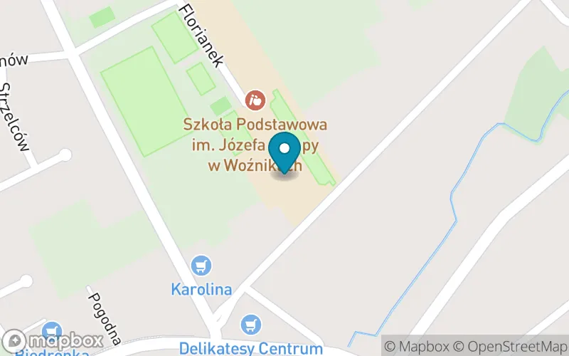 Lokalizacja: Szkoła Podstawowa z Oddziałami Sportowymi im. Józefa Lompy w Woźnikach