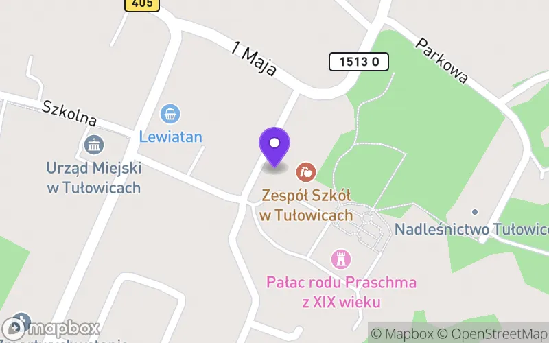 Lokalizacja: Publiczne Liceum Ogólnokształcące Zespołu Szkół w Tułowicach