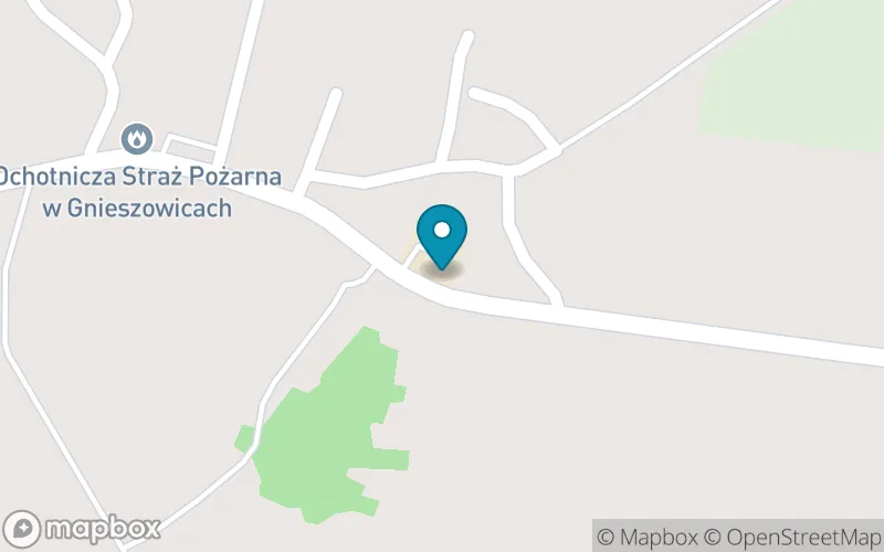 Lokalizacja: Niepubliczna Szkoła Podstawowa im. Św. Jadwigi Królowej w Gnieszowicach