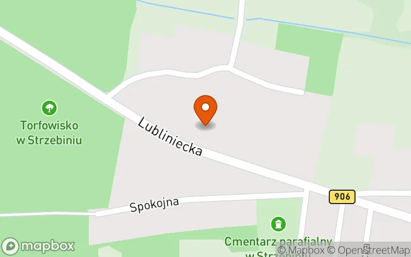 Lokalizacja: Leśne Skrzaty