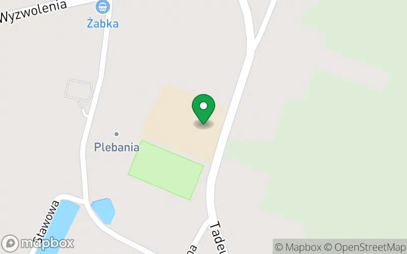 Lokalizacja: Przedszkole w Goleniowach