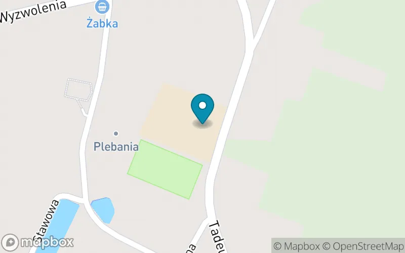 Lokalizacja: Szkoła Podstawowa w Goleniowach