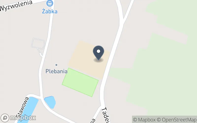 Lokalizacja: Zespół Szkół w Goleniowach