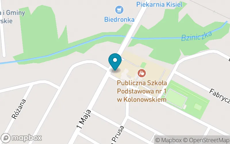 Lokalizacja: Publiczna Szkoła Podstawowa nr 1 im. Marii Skłodowskiej-Curie w Kolonowskiem