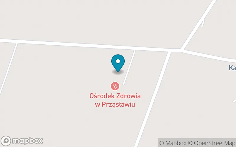 Lokalizacja: Szkoła Podstawowa im. Bł. Wincentego Kadłubka w Prząsławiu