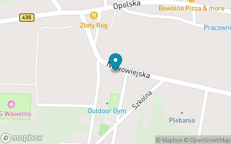 Lokalizacja: Publiczna Szkoła Podstawowa w Wawelnie