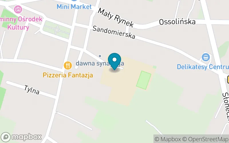 Lokalizacja: Publiczna Szkoła Podstawowa im. Jerzego Ossolińskiego w Klimontowie