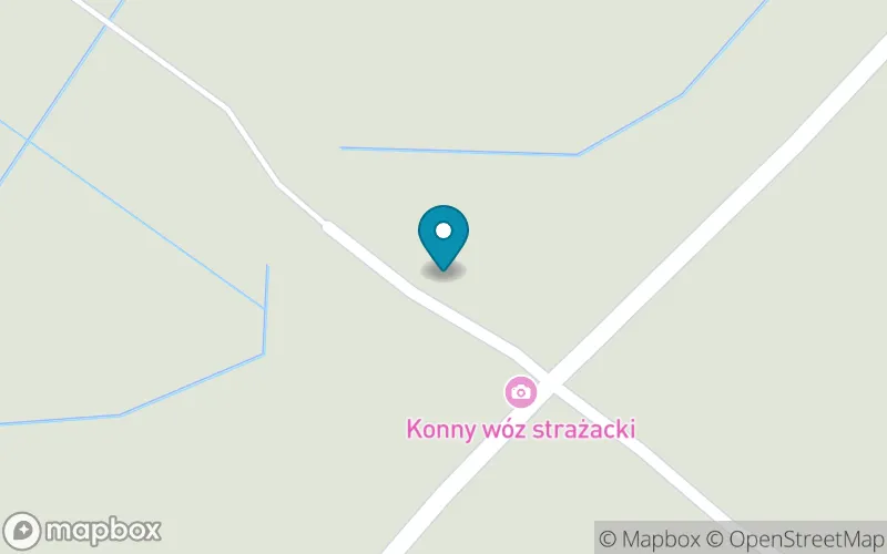 Lokalizacja: Publiczna Szkoła Podstawowa Im.bł.ks. Zygmunta Pisarskiegio w Czarnymstoku