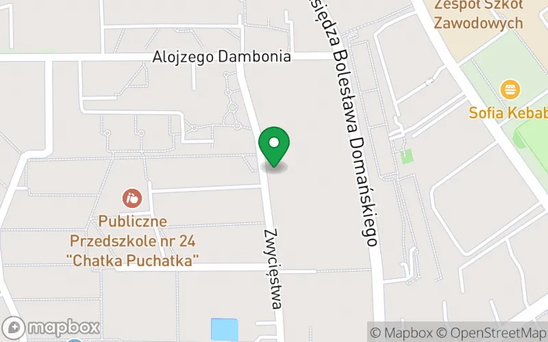 Lokalizacja: Przedszkole Niepubliczne Skrzat w Opolu