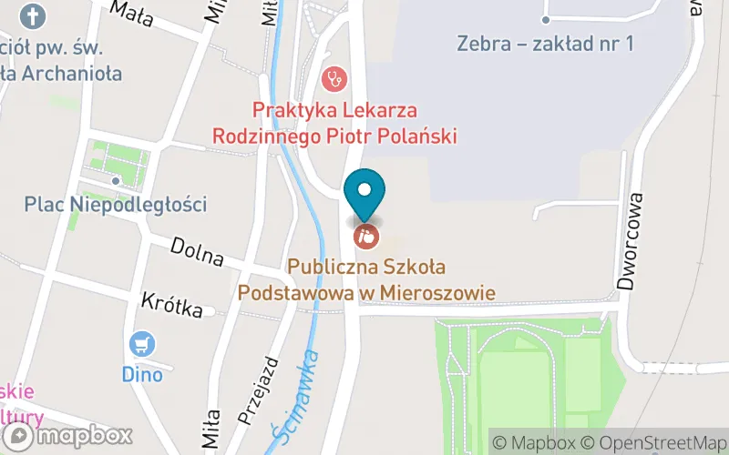Lokalizacja: Publiczna Szkoła Podstawowa w Mieroszowie