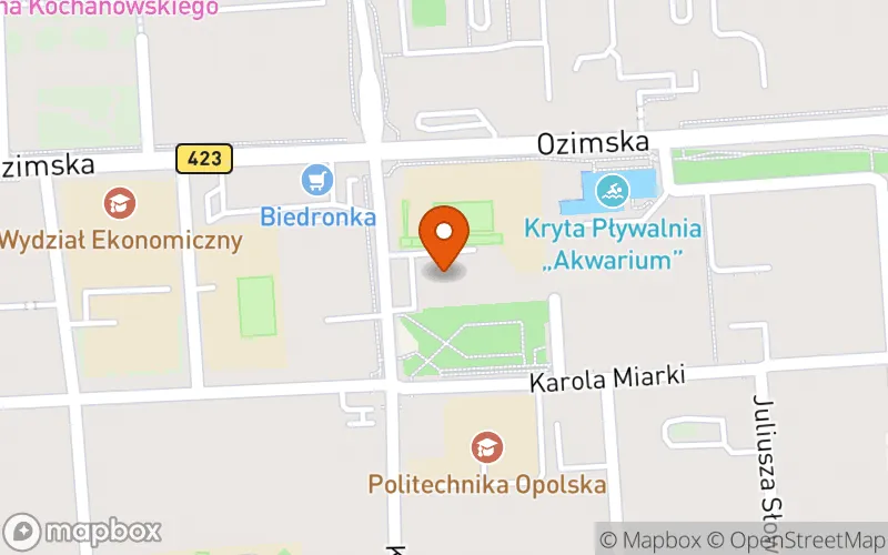 Lokalizacja: Centrum Opieki i Edukacji Dino
