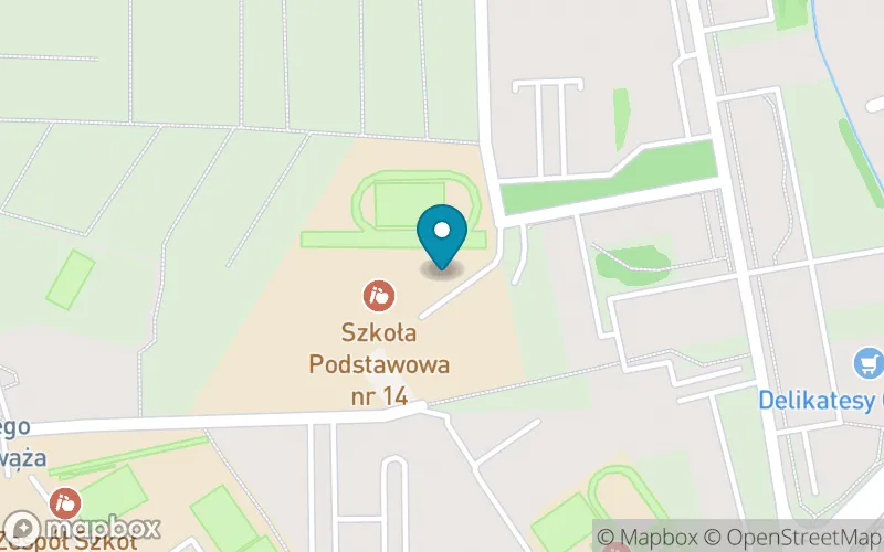 Lokalizacja: Publiczna Szkoła Podstawowa nr 14 im. Adama Mickiewicza w Opolu
