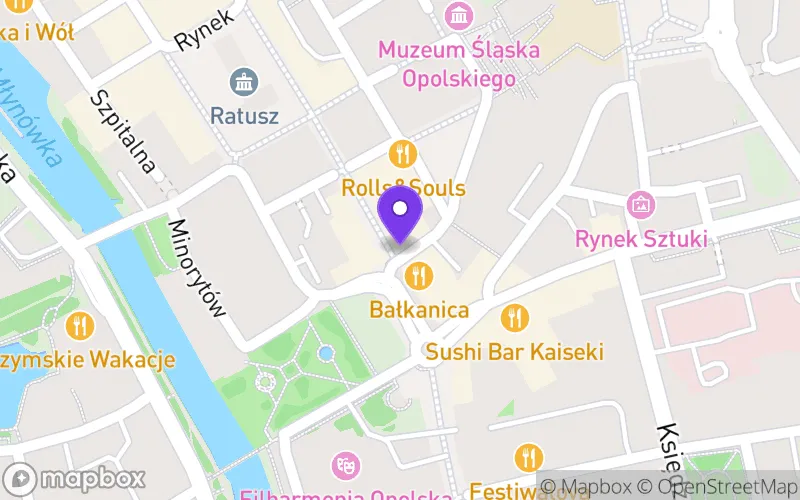 Lokalizacja: Liceum Sztuk Plastycznych TEB Edukacja w Opolu