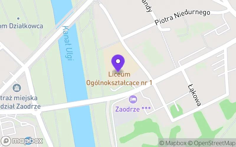 Lokalizacja: Publiczne Liceum Ogólnokształcące nr I im. Mikołaja Kopernika w Opolu