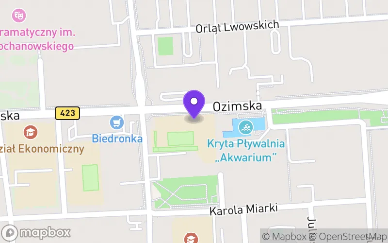 Lokalizacja: Publiczne Liceum Ogólnokształcące nr VIII im. Aleksandra Kamińskiego w Opolu