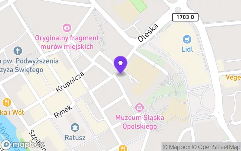 Lokalizacja: Branżowa Szkoła II Stopnia nr 1