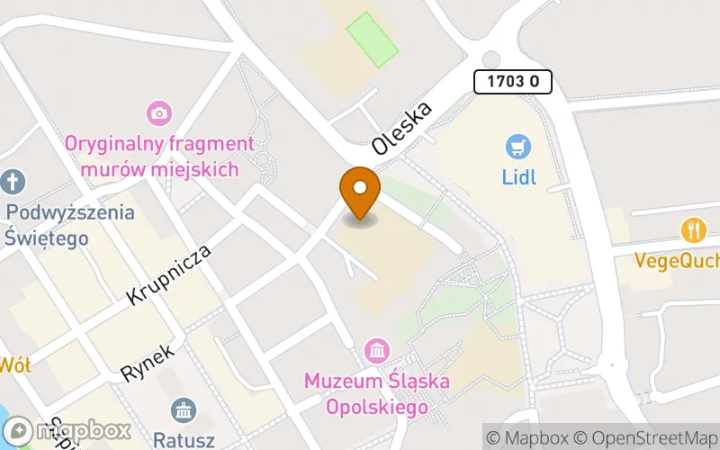 Lokalizacja: Szkoła Policealna nr V
