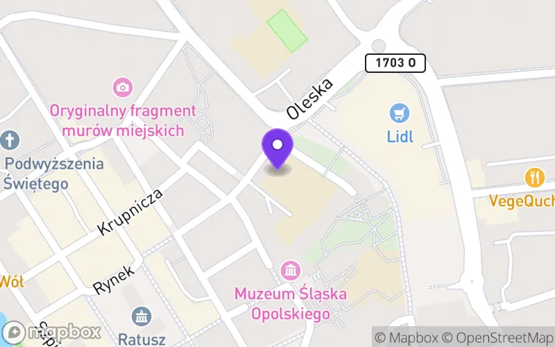Lokalizacja: Branżowa Szkoła I Stopnia nr 2 w Opolu