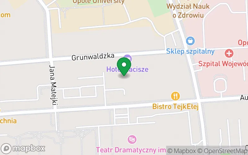 Lokalizacja: Przedszkole Publiczne nr 2 w Opolu