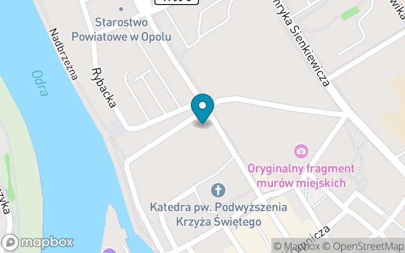 Lokalizacja: Publiczna Szkoła Podstawowa nr 13 Specjalna im. Janusza Korczaka w Opolu