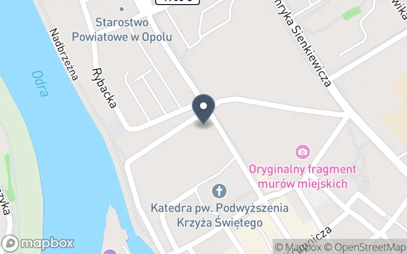 Lokalizacja: Zespół Szkół Specjalnych w Opolu