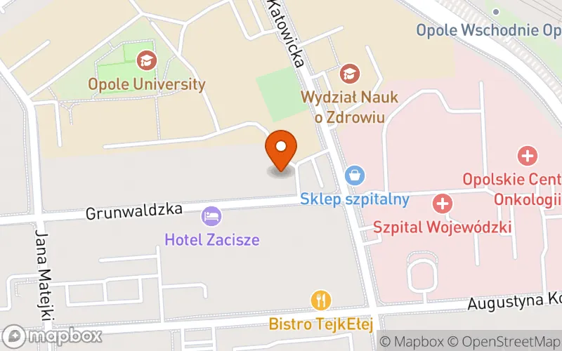 Lokalizacja: Dwujęzyczny Żłobek Artystyczny i Naukowy "Tuptuś Odkrywca"