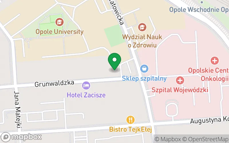 Lokalizacja: Niepubliczne Przedszkole Artystyczne i Językowe przed-Szkółka w Opolu