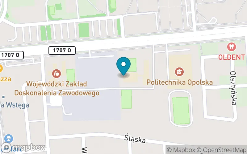 Lokalizacja: Publiczna Szkoła Podstawowa nr 15 im. Królowej Jadwigi w Opolu