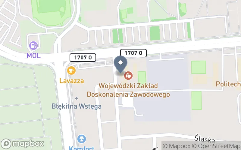 Lokalizacja: Centrum Kształcenia Zawodowego Wojewódzkiego Zakładu Doskonalenia Zawodowego w Opolu