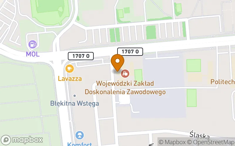 Lokalizacja: Publiczna Policealna Szkoła Zawodowa WZDZ w Opolu