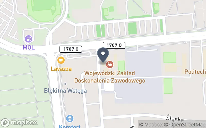 Lokalizacja: Opolskie Centrum Kształcenia Zawodowego i Ustawicznego WZDZ w Opolu