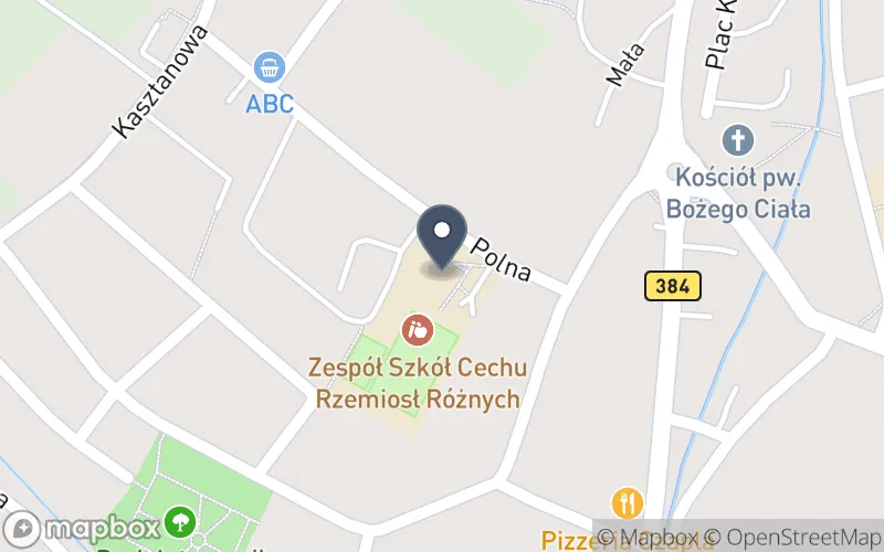 Lokalizacja: Zespół Szkół Cechu Rzemiosł Różnych w Bielawie
