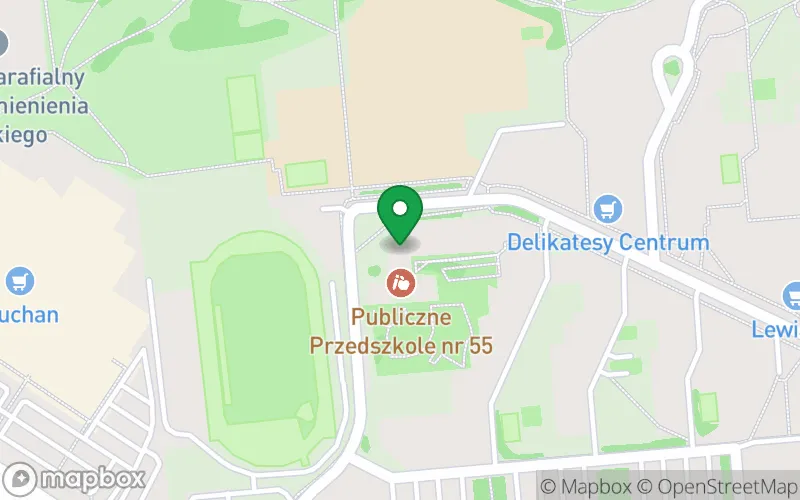 Lokalizacja: Przedszkole Publiczne nr 55 w Opolu