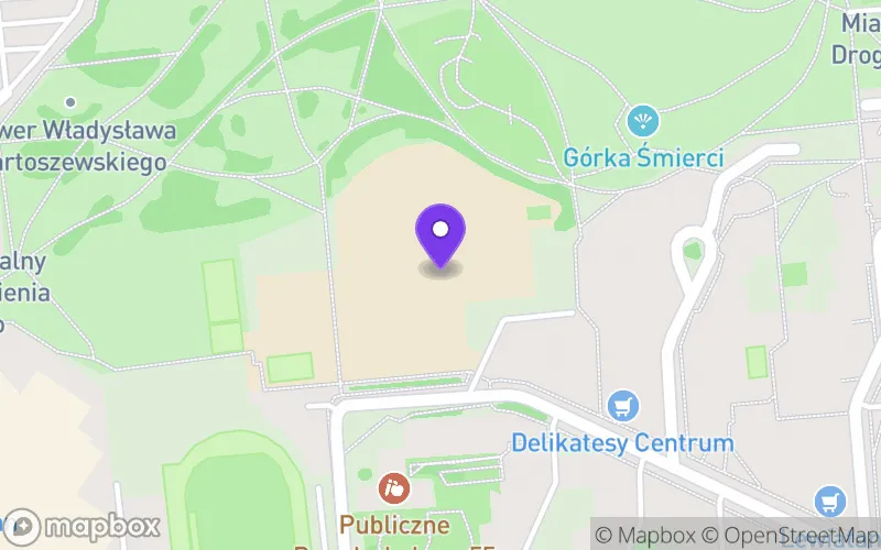 Lokalizacja: Publiczne Liceum Ogólnokształcące nr VI im. Gen. Leopolda Okulickiego "Niedźwiadka"