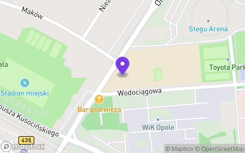 Lokalizacja: Publiczne Liceum Ogólnokształcące nr IX im. Generała Władysława Andersa w Opolu