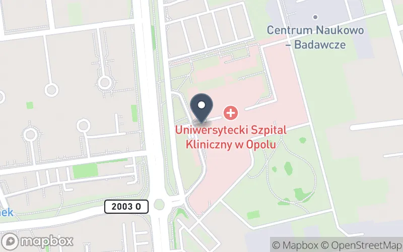 Lokalizacja: Zespół Placówek Specjalnych przy Zakładach Opieki Zdrowotnej w Opolu