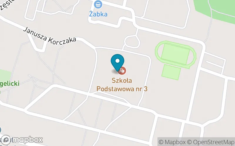 Lokalizacja: Szkoła Podstawowa nr 3 im. Paraolimpijczyków i Olimpijczyków Polskich w Ozimku
