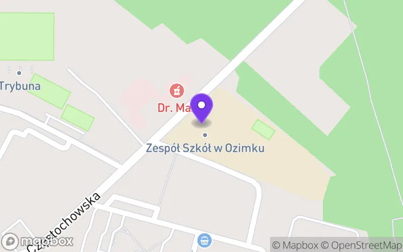 Lokalizacja: Publiczna Branżowa Szkoła I Stopnia Zespołu Szkół w Ozimku