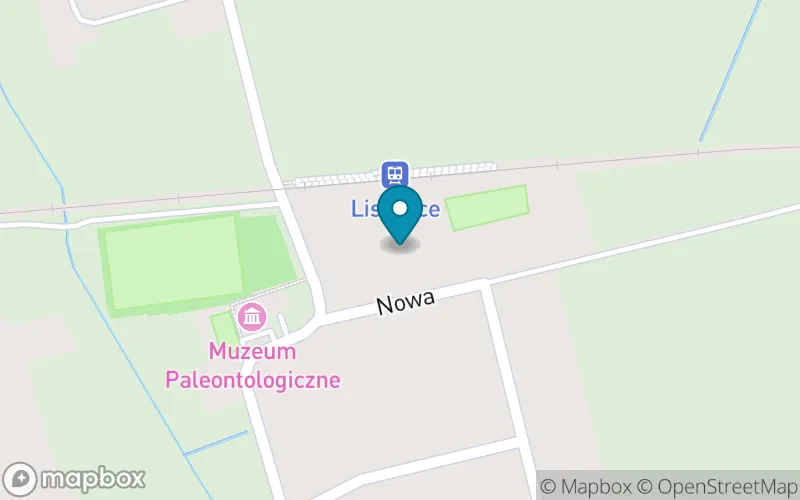 Lokalizacja: Szkoła Podstawowa w Lisowicach