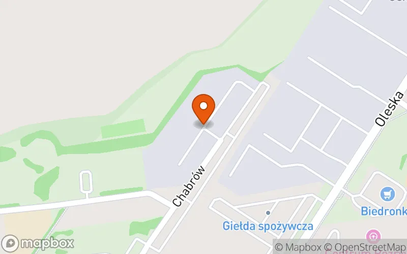 Lokalizacja: Żłobek Niepubliczny "Kraina Marzeń"