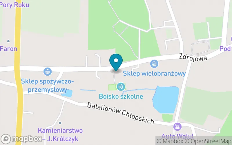 Lokalizacja: Niepubliczna Szkoła Podstawowa w Przerzeczynie- Zdroju